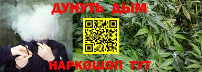 прущие грибы Тверь