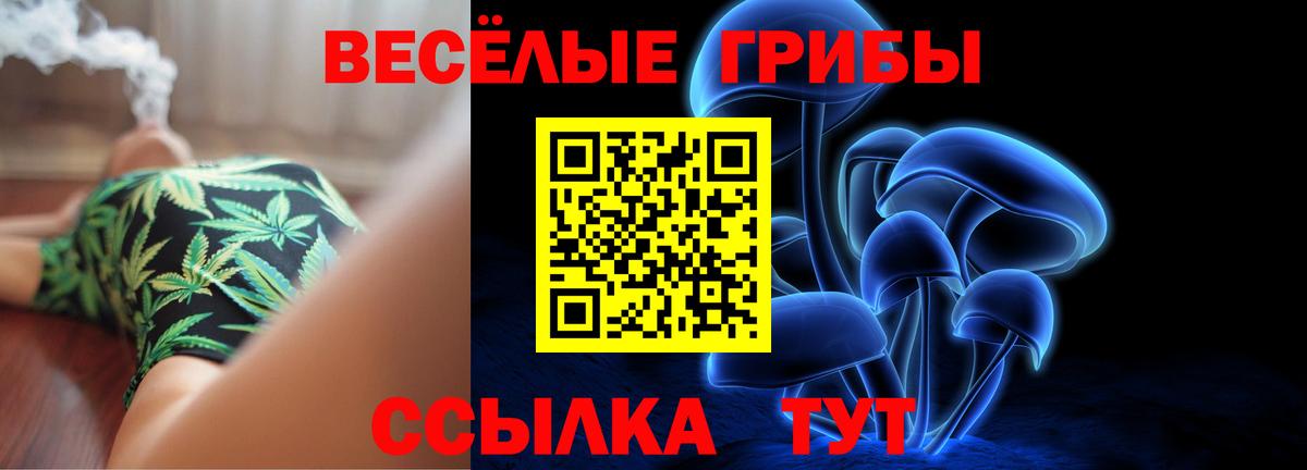 Псилоцибиновые грибы Psilocybe Мытищи